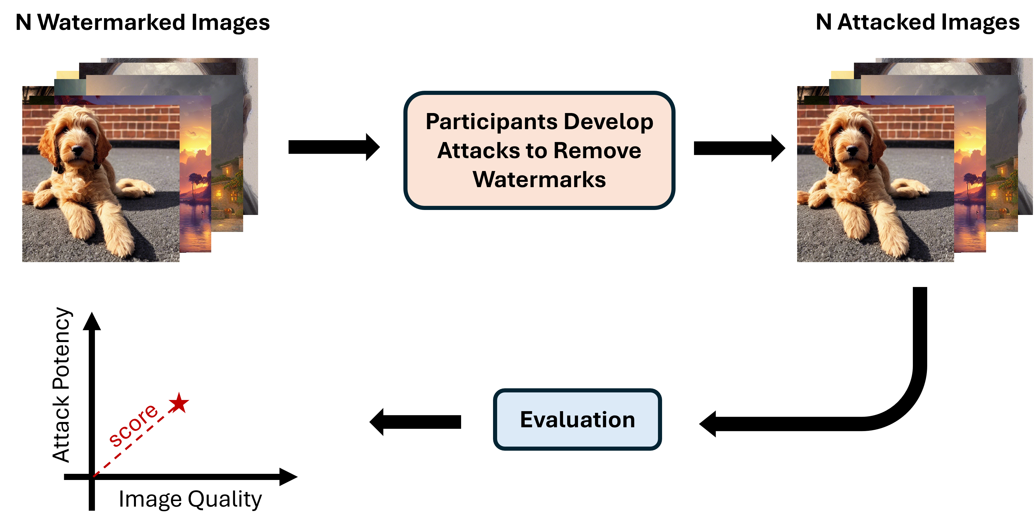 Competition Overview